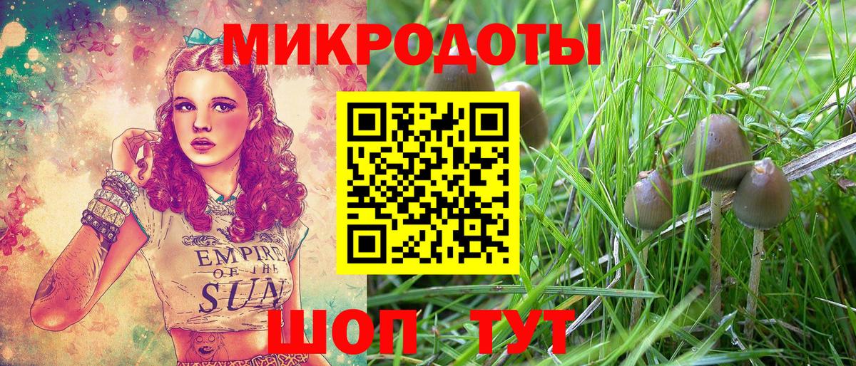 Галлюциногенные грибы Psilocybine cubensis Радужный