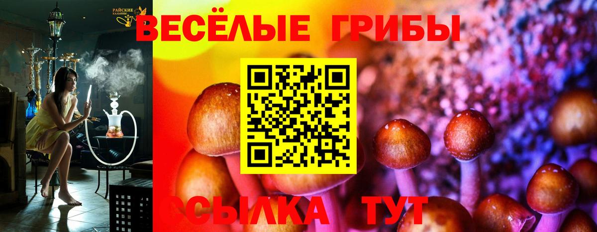 Радужный  Галлюциногенные грибы MAGIC MUSHROOMS  что такое   Вход с VPN 
